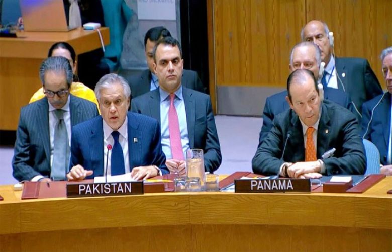 DPM urges implementation of UN resolutions on Kashmir, Palestine