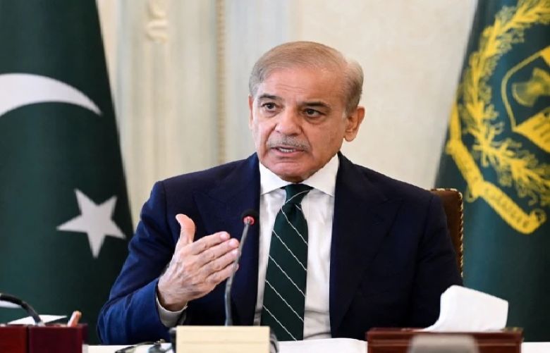 PM Shehbaz seeks world-class investors for Discos' privatisation