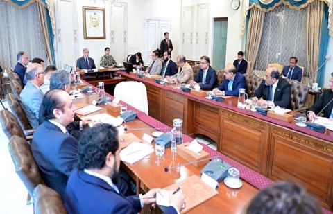 PM Shehbaz calls for effective awareness campaign to curb population growth